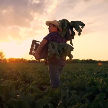 Este 13 de marzo votamos por la libertad #VotaPor LaLibertad