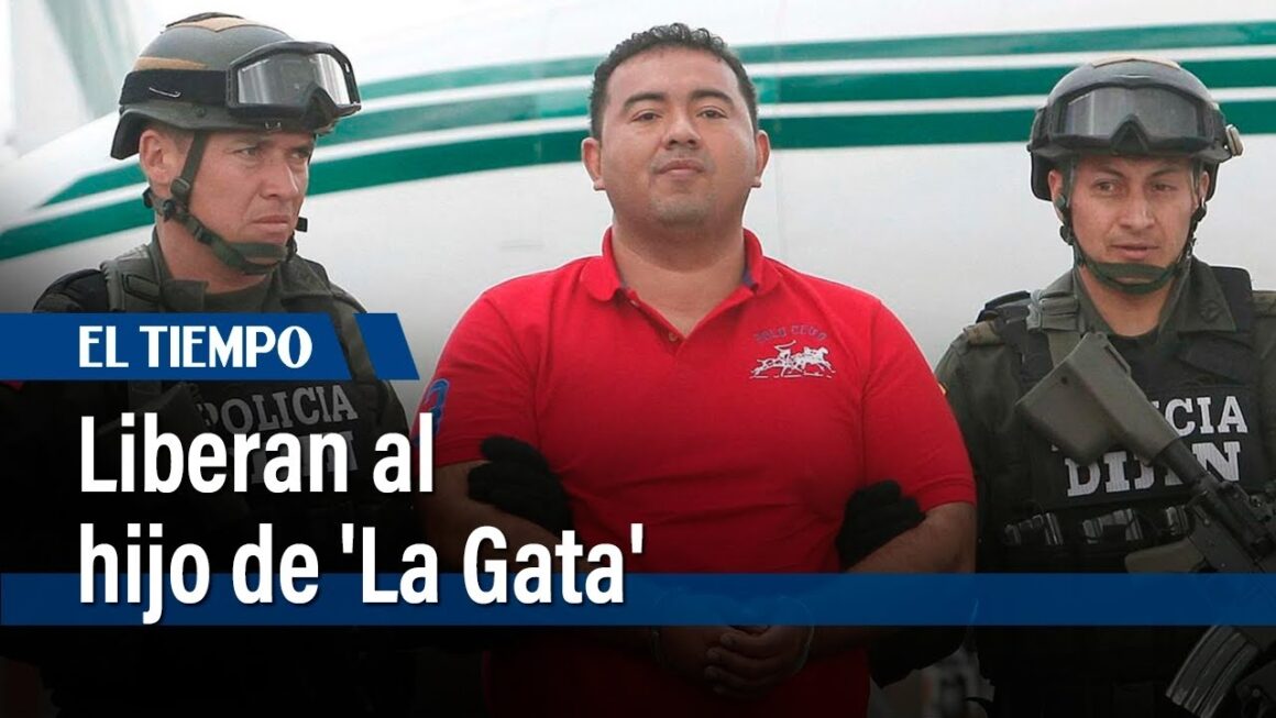 El gatuperio de la “paz total”