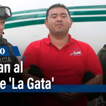 El gatuperio de la “paz total”