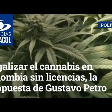 Nuevos atropellos de Petro: legalización de marihuana y expropiación exprés