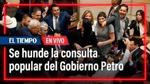Se hundió consulta popular
